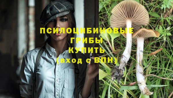 дурь Алзамай