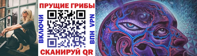 kraken сайт  Константиновск  Галлюциногенные грибы мухоморы 